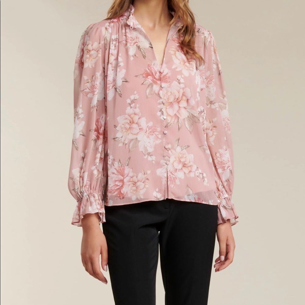 Sheer Blouse - Ever New